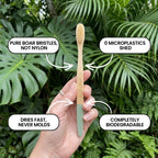 NeatNest Boar Bristle & Bamboo ToothBrush (4Pack)