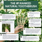 NeatNest Boar Bristle & Bamboo ToothBrush (4Pack)