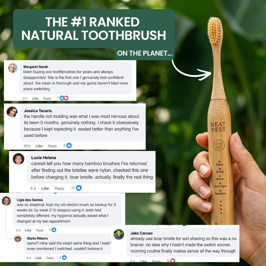 Neat Nest Bamboo & Boar Bristle Electric ToothBrush